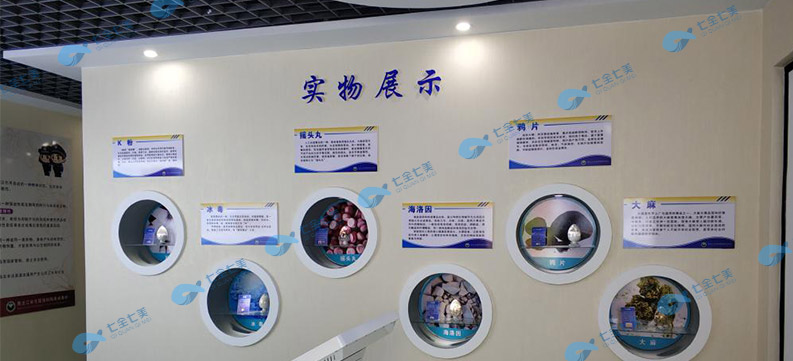 建设多媒体禁毒教育基地，提高青少年自觉抵御毒品的能力-七全七美