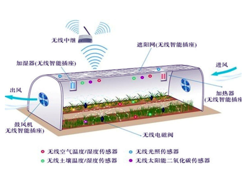 智慧温室大棚物联网应用案例