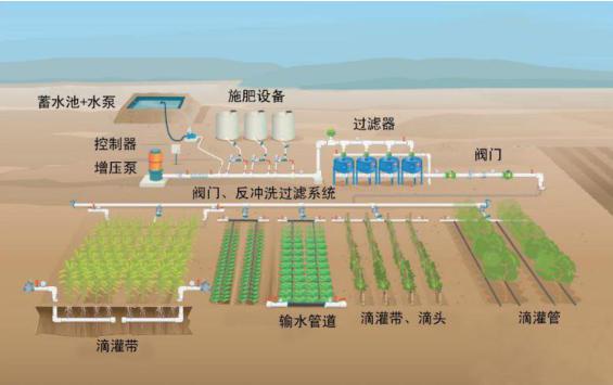 传智能物联网水肥一体化项目
